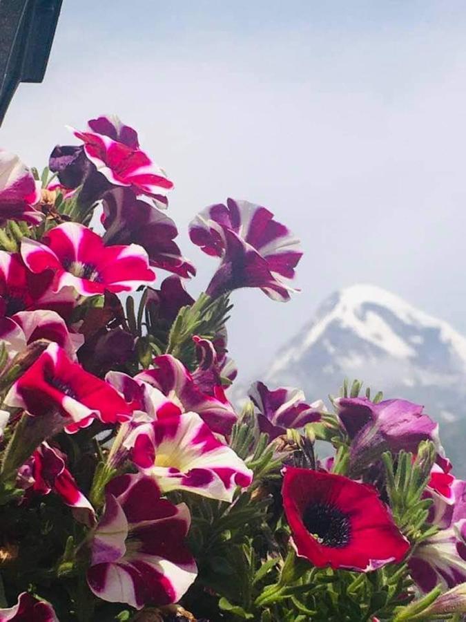 Guest House Elguja Qushashvili Kazbegi Exterior foto