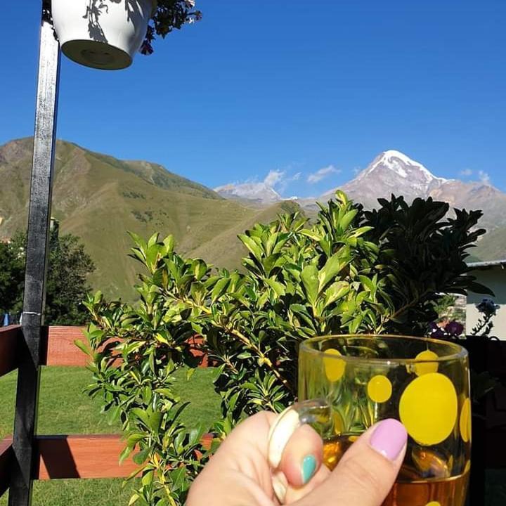 Guest House Elguja Qushashvili Kazbegi Exterior foto